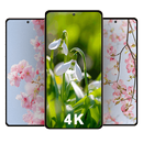 Spring Wallpapers APK