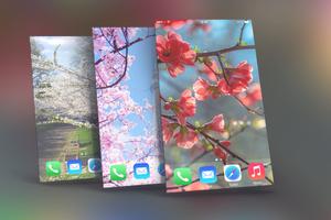 Spring Wallpapers ポスター