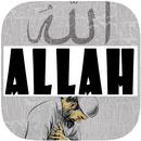 Allah Wallpapers APK