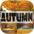 Autumn Wallpapers APK