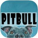 Pitbull Wallpapers APK