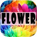 Flower Wallpapers APK