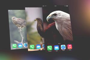 Eagle Wallpapers bài đăng