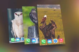 Eagle Wallpapers ảnh chụp màn hình 1