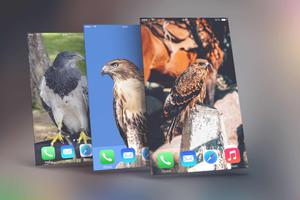 Eagle Wallpapers ảnh chụp màn hình 2
