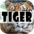 Tiger Wallpapers