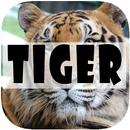 Tiger Wallpapers APK