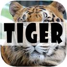 Tiger Wallpapers simgesi