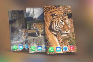 Tiger Wallpapers gönderen