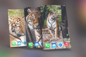 Tiger Wallpapers Ekran Görüntüsü 3