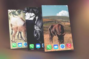 Horse Wallpapers screenshot 3
