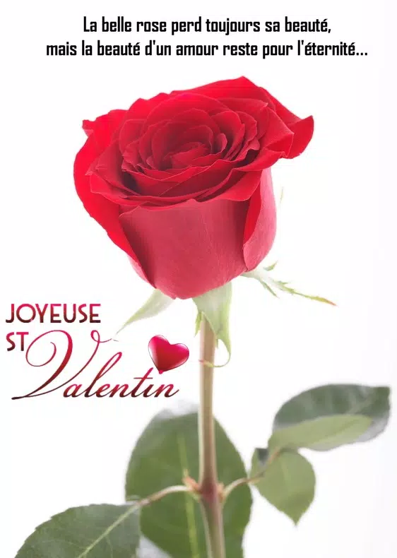 Joyeuse Saint Valentin Mon Amour For Android Apk Download