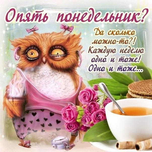 Приколы на каждый день