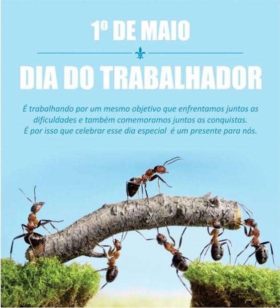 Feliz Dia do Trabalhador Mensagens APK للاندرويد تنزيل Feliz Dia do Trabalhador Mensagens APK للاندرويد تنزيل