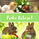 Kostenlose Frohe Ostern Bilder und Sprüche 2021 APK