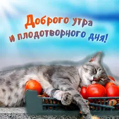 С добрым утром Открытки APK 下載