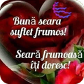 Bună seara! O seară frumoasă!