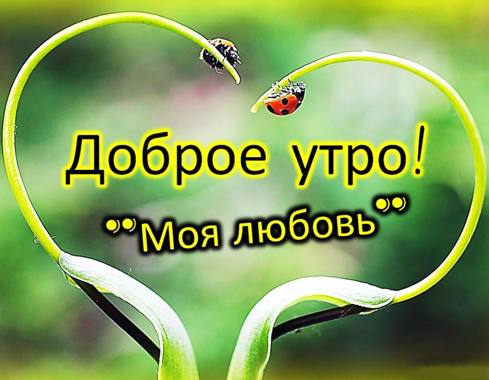 Сдобрым утром мая любовь