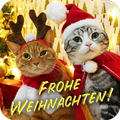 Frohe Weihnachten Bilder