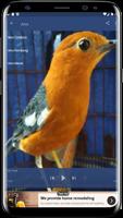 Koleksi Suara Burung Berkicau poster