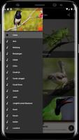 Koleksi Suara Burung Berkicau スクリーンショット 1