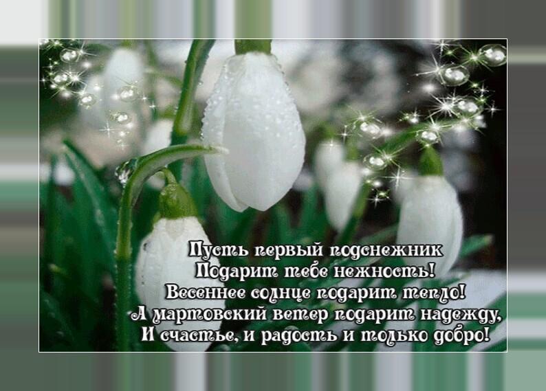 С первым днем весны подснежники