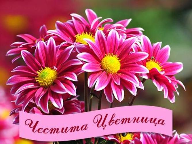 Chestita Cvetnica Kartichki For Android Apk Download