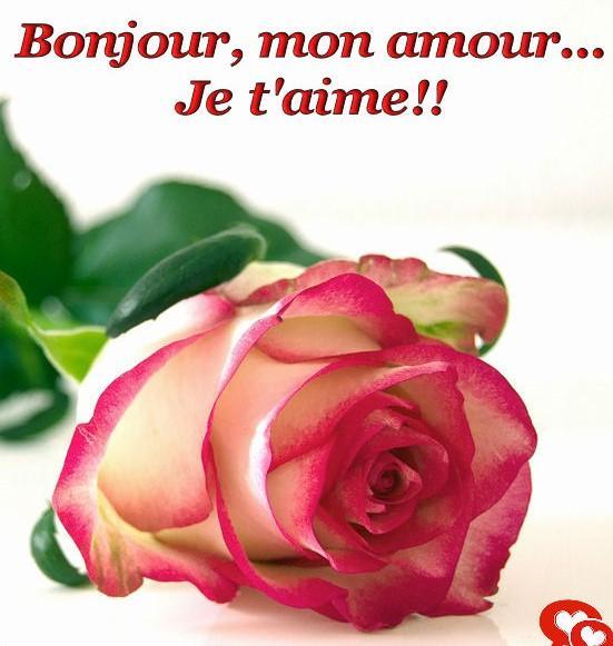 Bonjour Mon Amour Images Pour Whatsapp For Android Apk Download