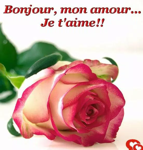 Bonjour Mon Amour Images Pour Whatsapp For Android Apk Download