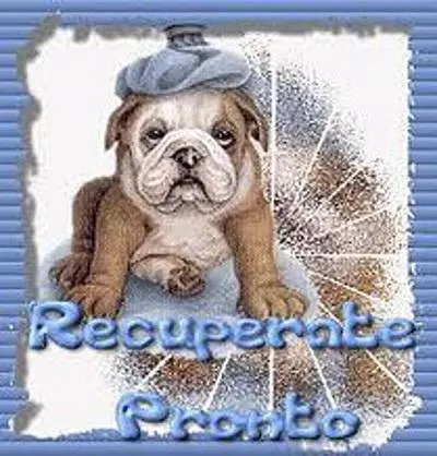 Recupérate Pronto Imagenes APK para Android Descargar recuperate pronto Recupérate Pronto Imagenes APK para Android Descargar