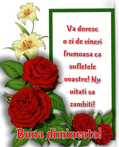Buna Dimineaţa For Android Apk Download