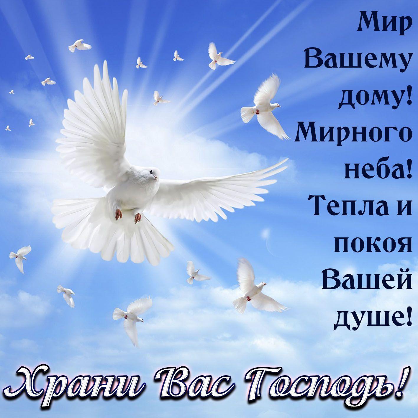 Доброго дня и м рного неба