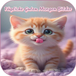 Tägliche Guten Morgen Bilder