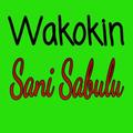Wakokin Sani Sabulu