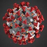 فيروس كورونا