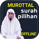 Murottal Surah Pilihan Ustd Ub APK