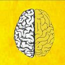 brain box tts APK