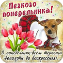 Доброго понедельника, друзья! APK