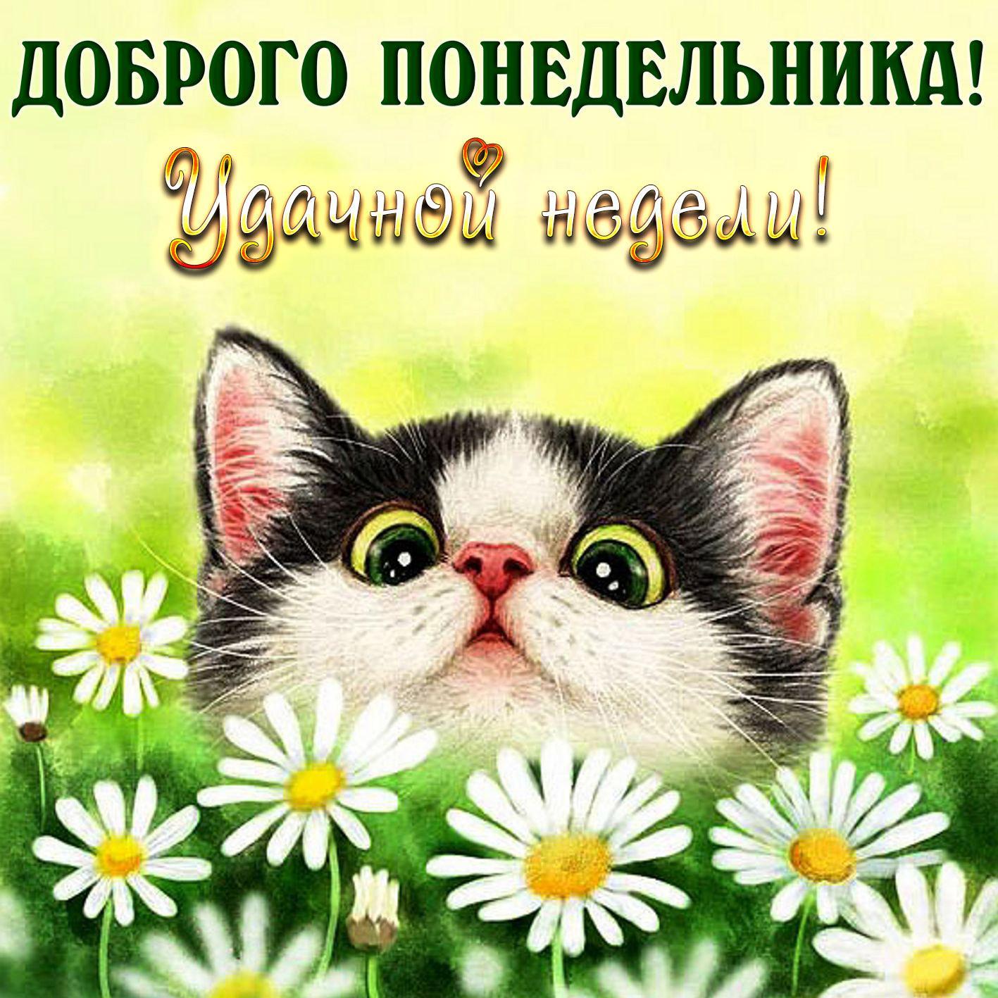 Хорошей рабочей недели картинки