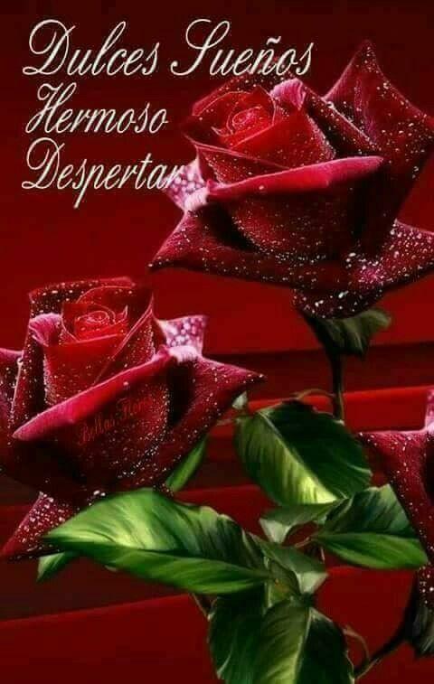 Tải xuống APK Buenos Dias, Buenas Noches Imagenes con Flores cho Android Tải xuống APK Buenos Dias, Buenas Noches Imagenes con Flores cho Android