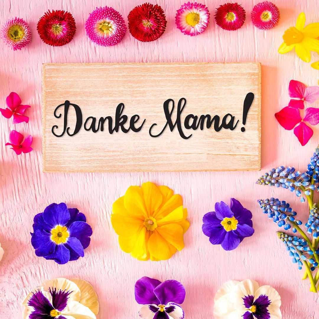 Kostenlose Danke Bilder For Android Apk Download