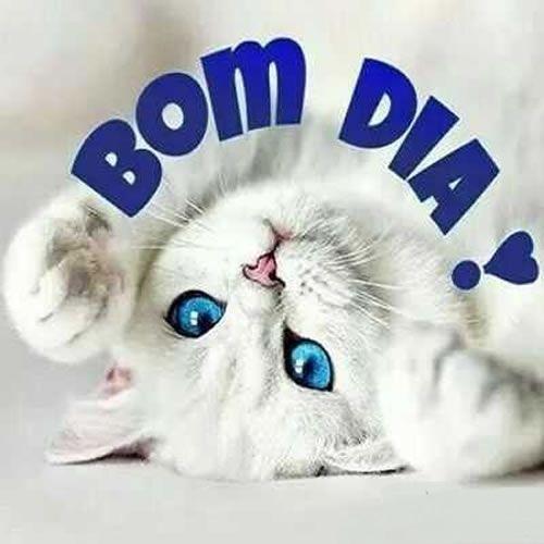 Tải xuống APK Imagens de Bom Dia ! cho Android Tải xuống APK Imagens de Bom Dia ! cho Android