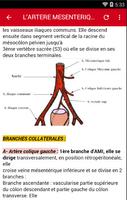 Anatomie Screenshot 1