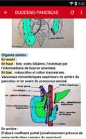 Anatomie Ekran Görüntüsü 2