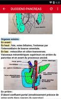 Anatomie Screenshot 2