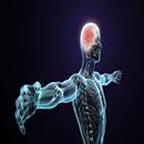 Physiologie médical APK
