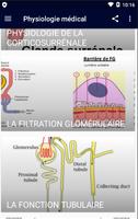 Physiologie médical Ekran Görüntüsü 2