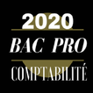 Bac Pro comptabilité 2020