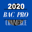 Bac Pro commerce 2020