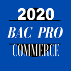 Bac Pro commerce icône